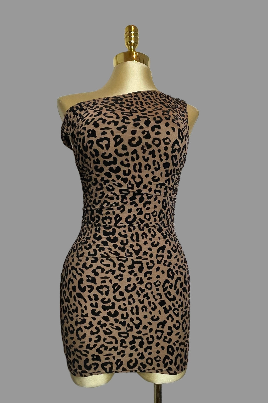 Leah's Dress
