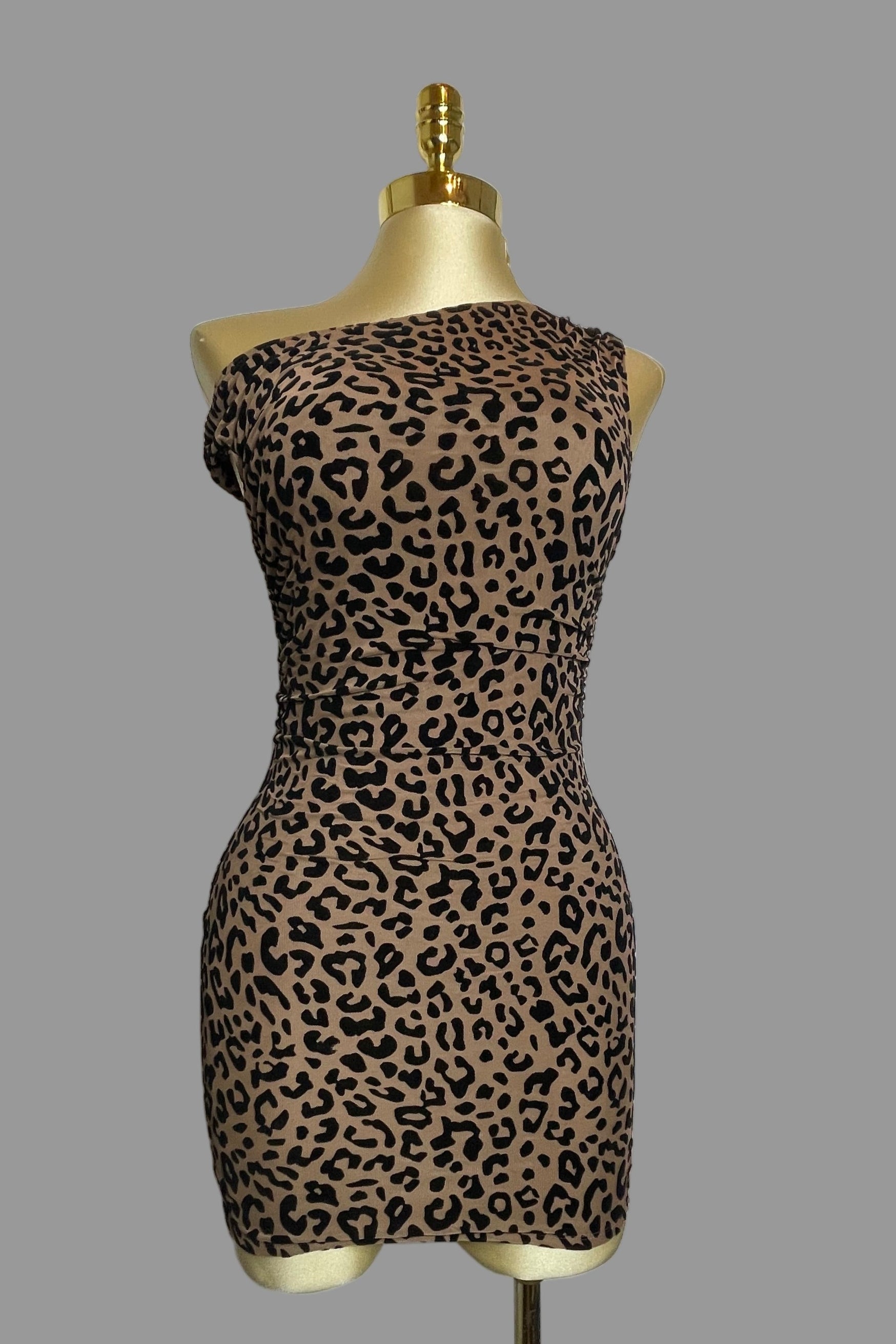 Leah's Dress
