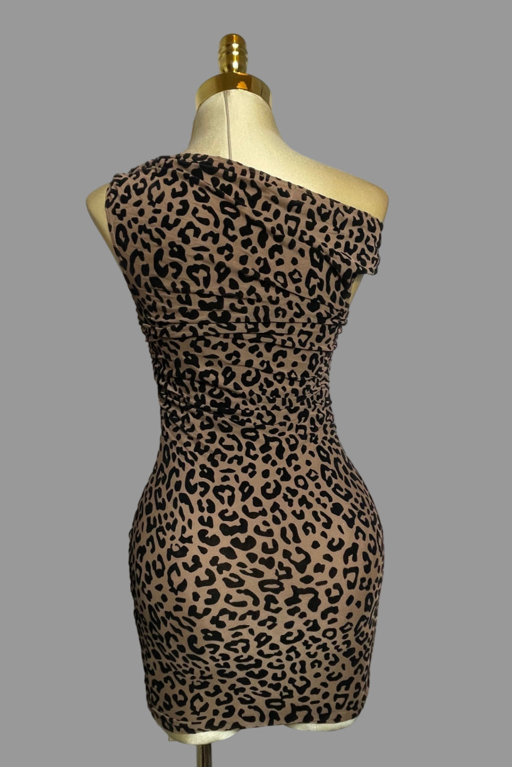 Leah's Dress
