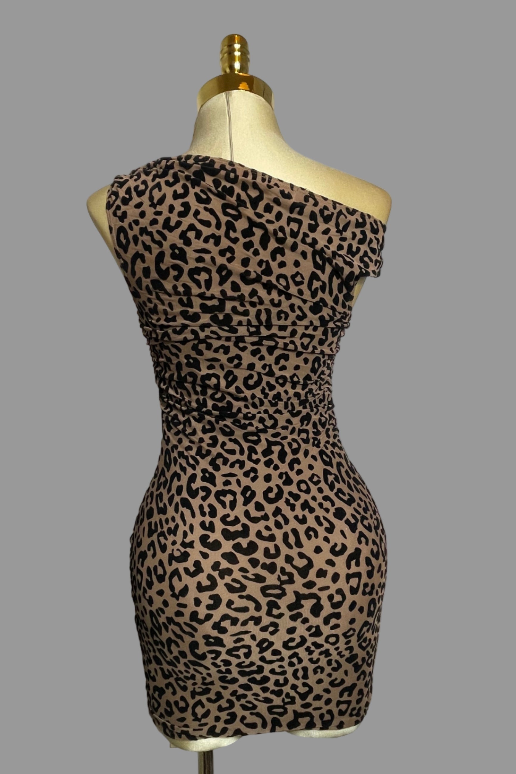 Leah's Dress