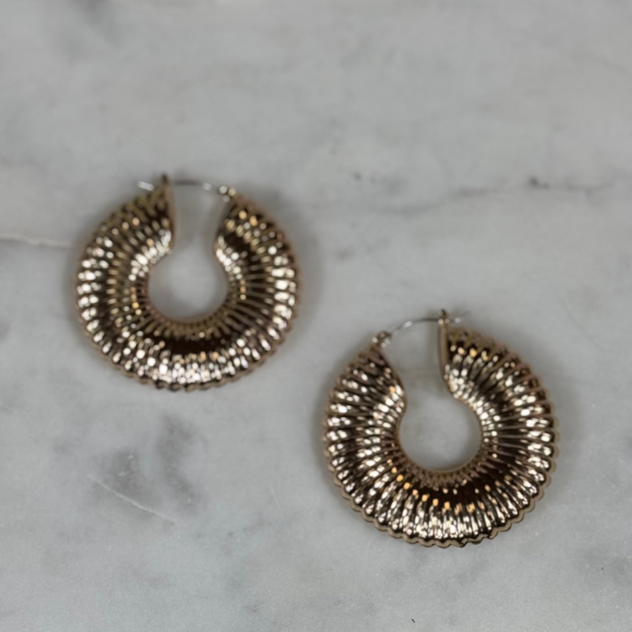 Cori's Earring
