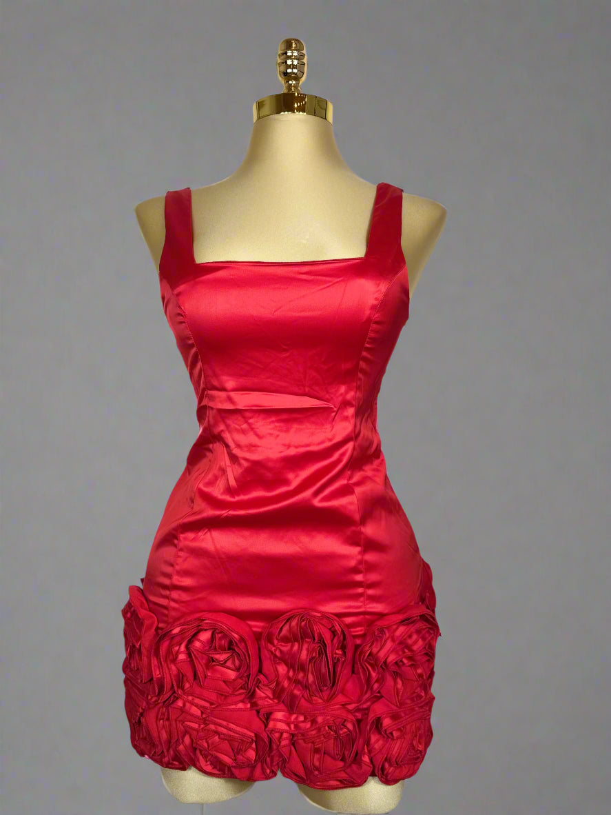 Raya's Dress