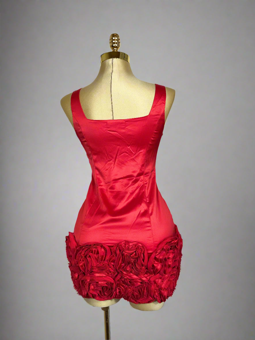 Raya's Dress