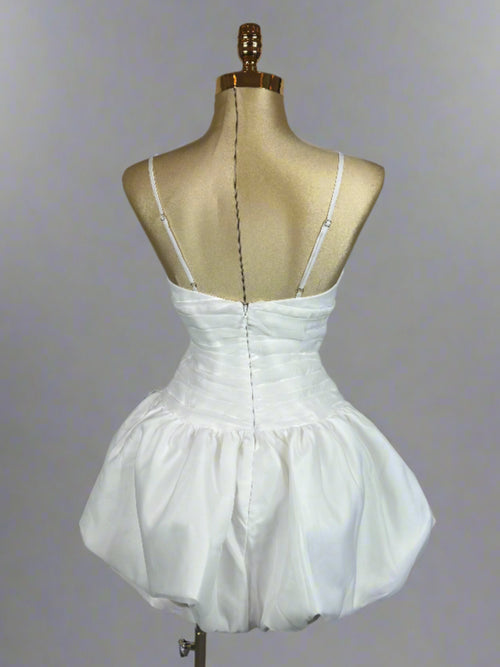 Andrea's Dress