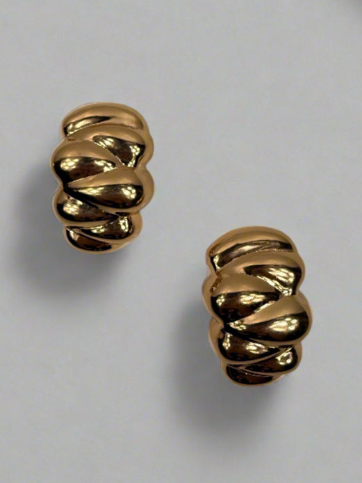 Aspen's Earing