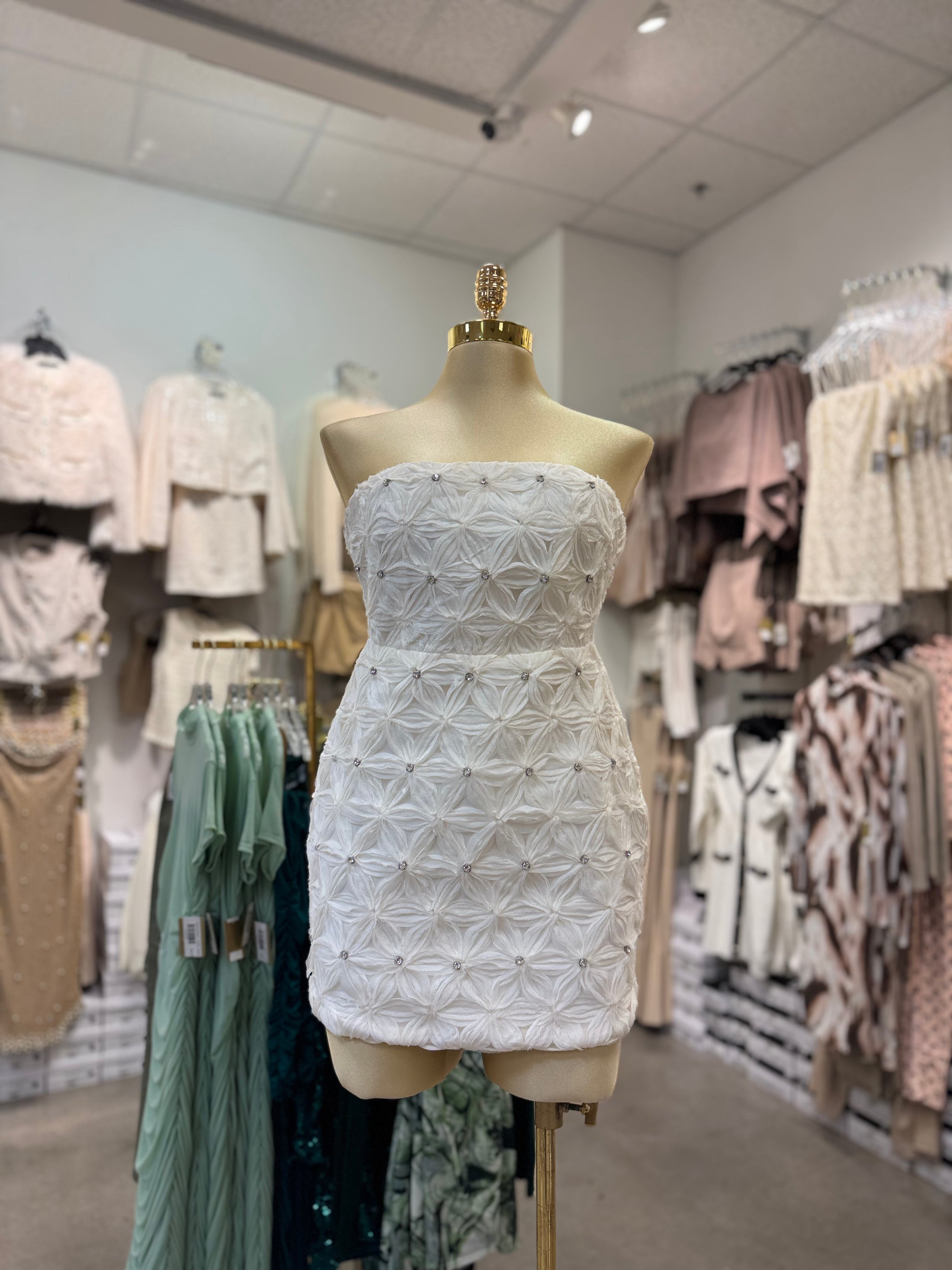Gina's Dress