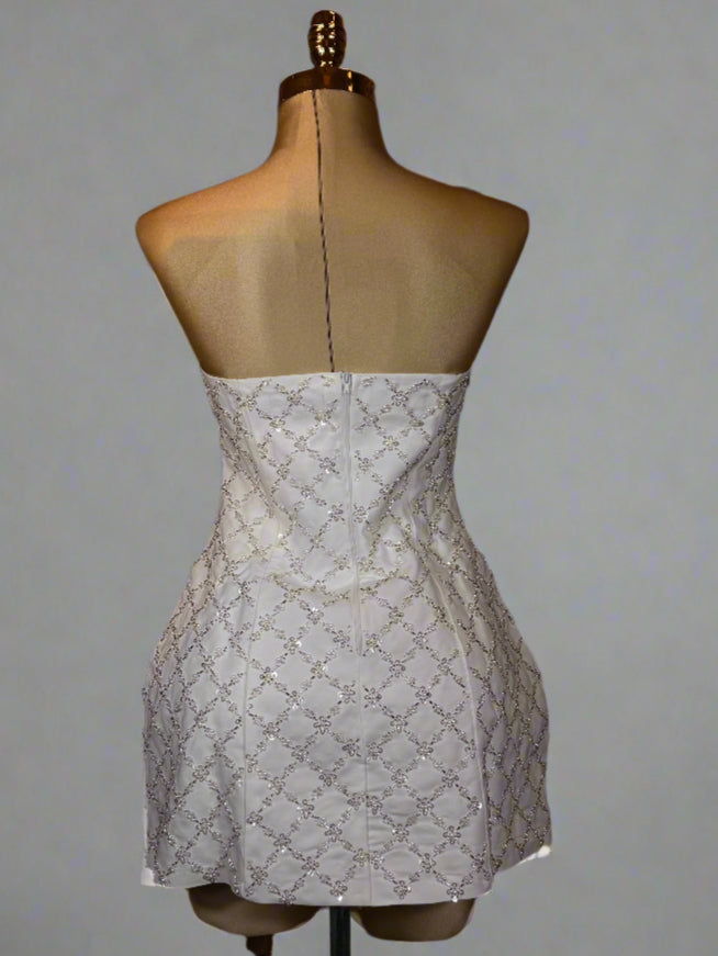 Shayla's Dress
