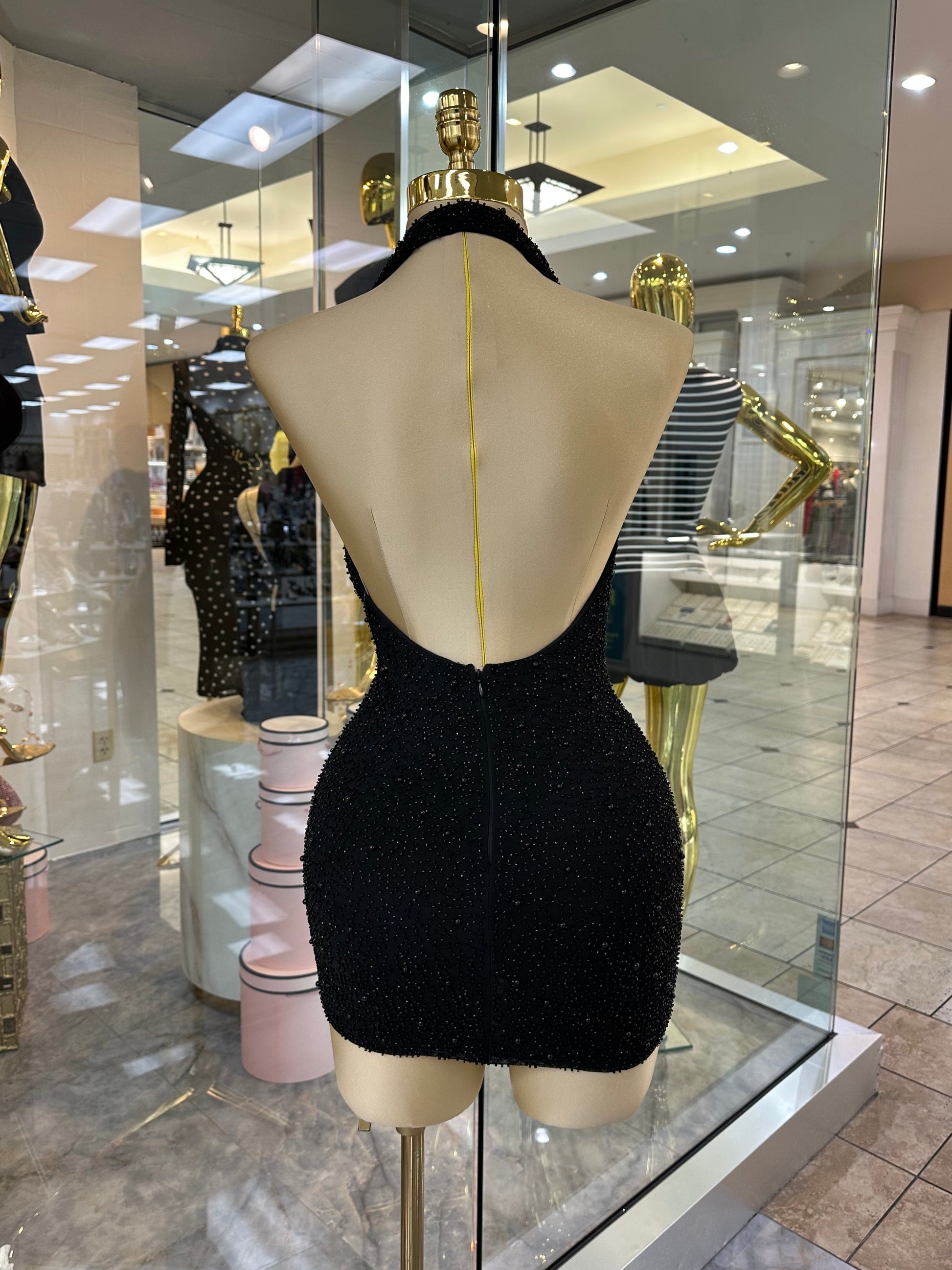 Lisa's Dress