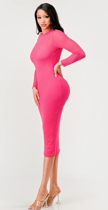 Gina's Pink Mesh Dress