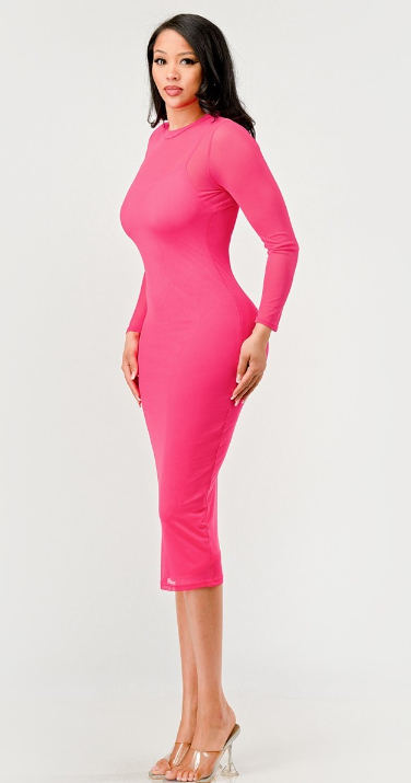 Gina's Pink Mesh Dress