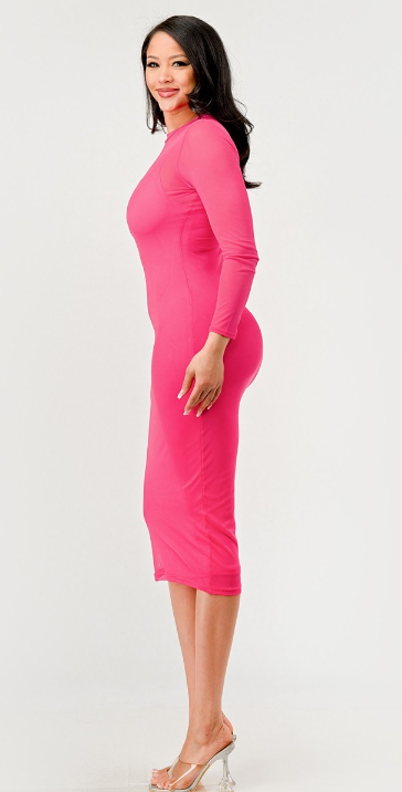 Gina's Pink Mesh Dress