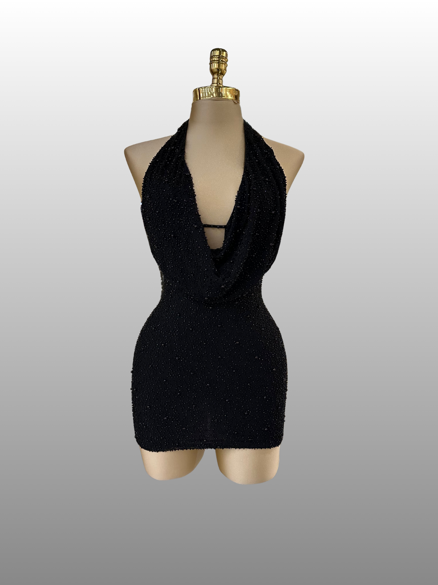 Lisa's Dress