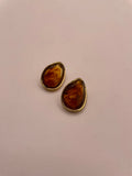 Leani's Earings