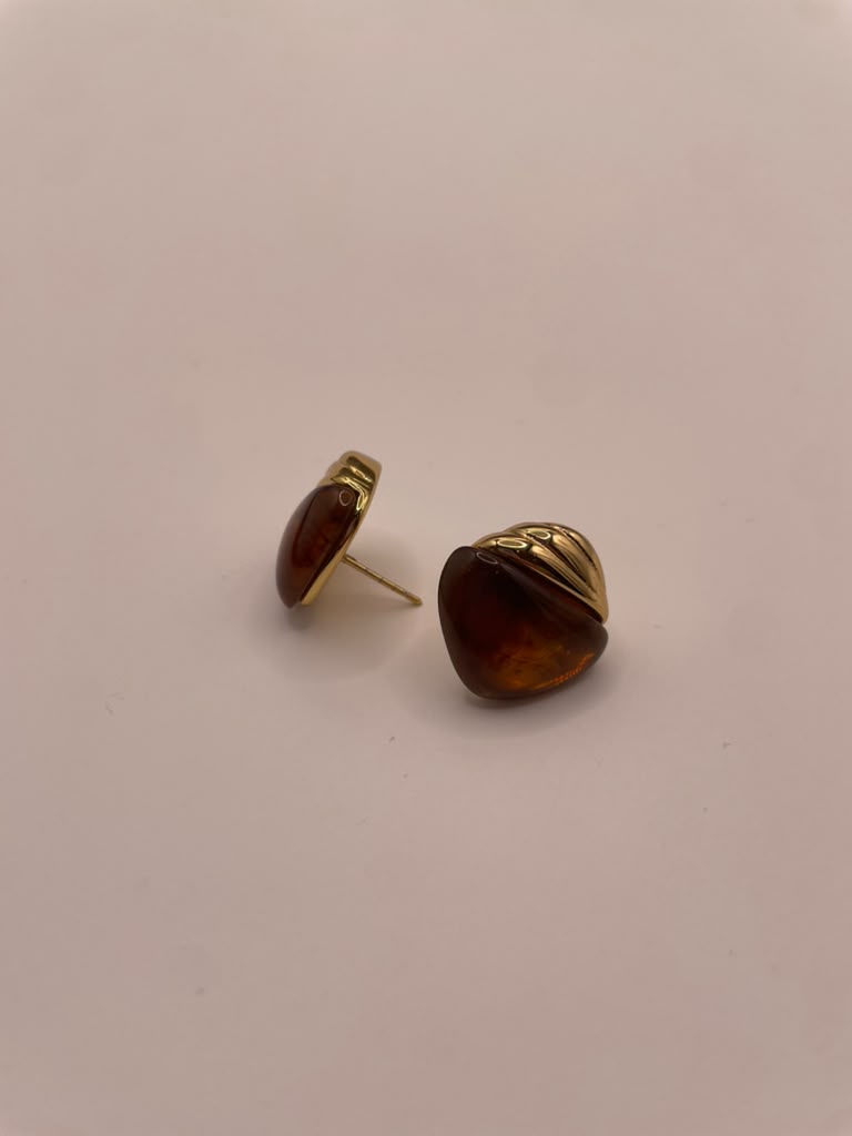 Acorn's Earings