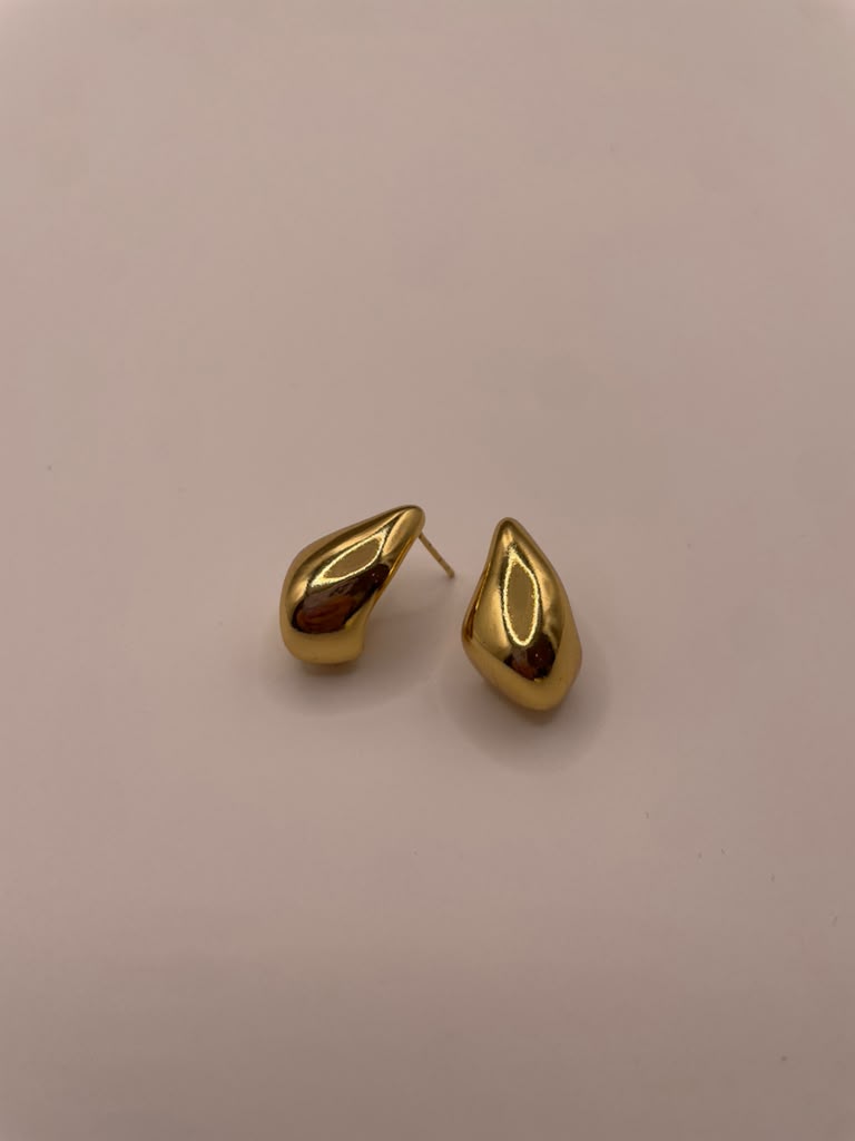 Guaye's Earings