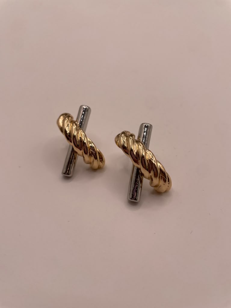 Yusa's Earings