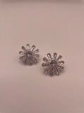 Freyan's Earings