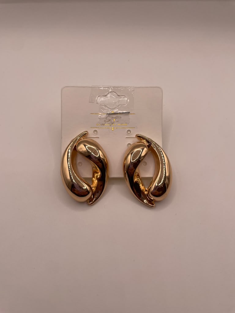 Arie's Earings