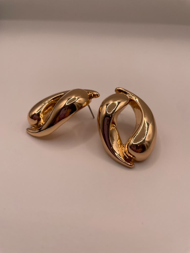Arie's Earings