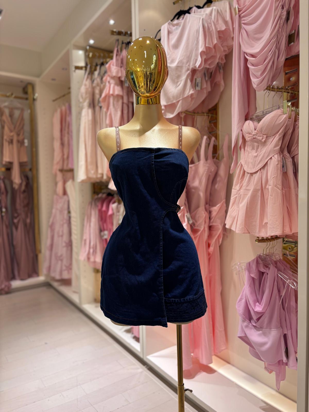 Eloie's Dress