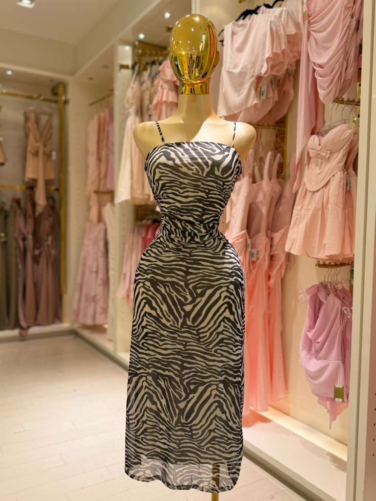 Bluci's Dress