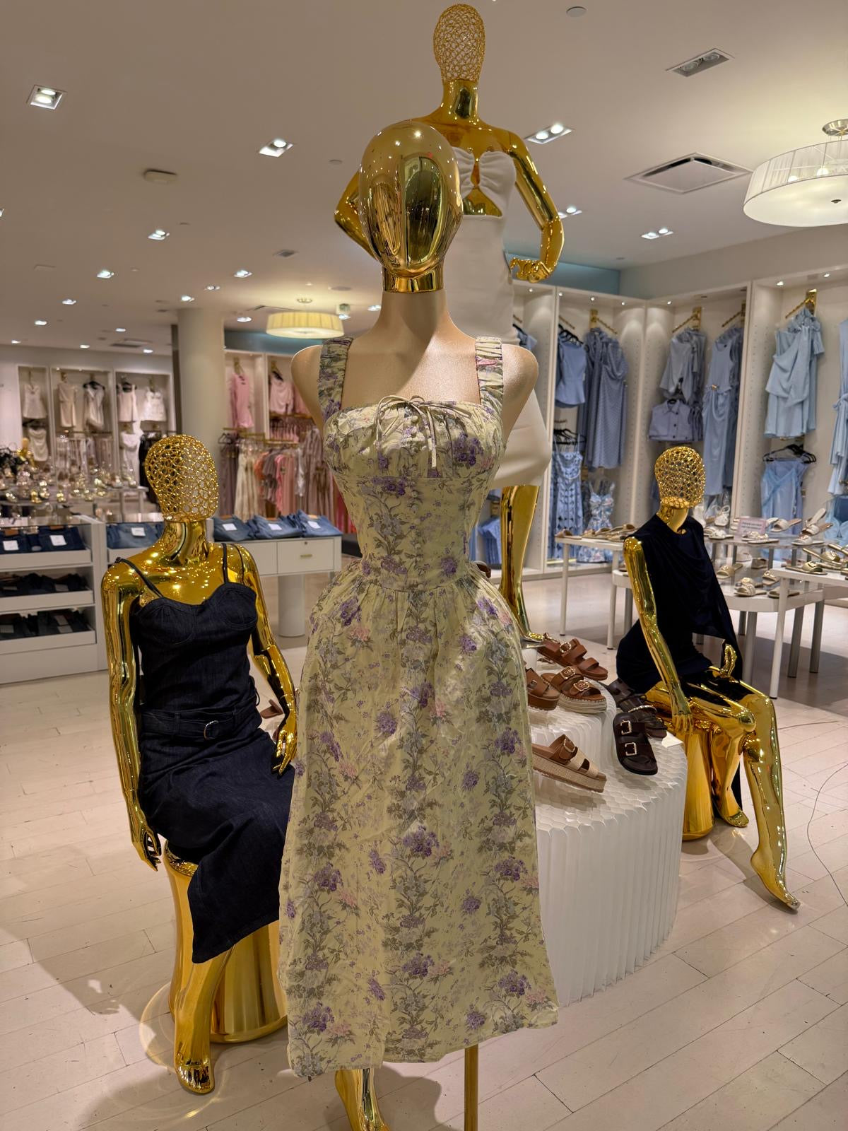 Eloisa’s Dress