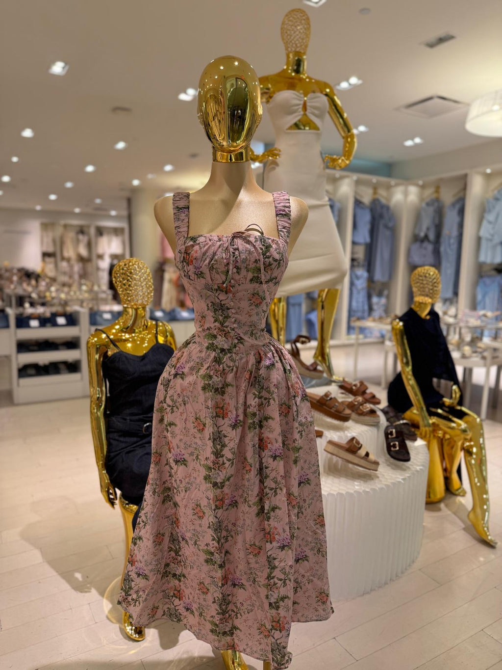 Eloisa’s Dress