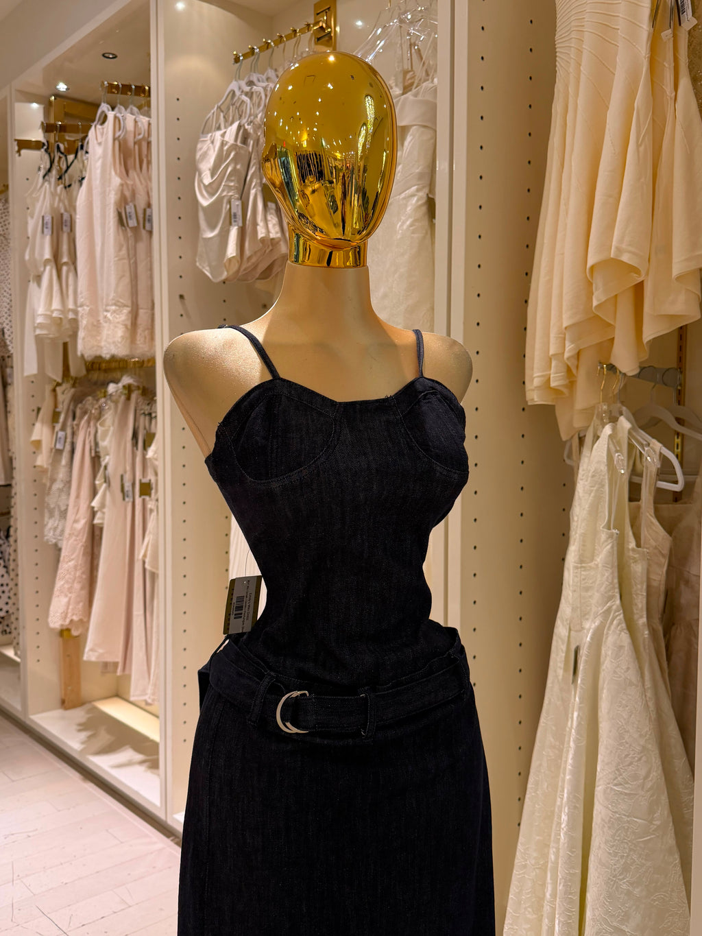Emily's Dress