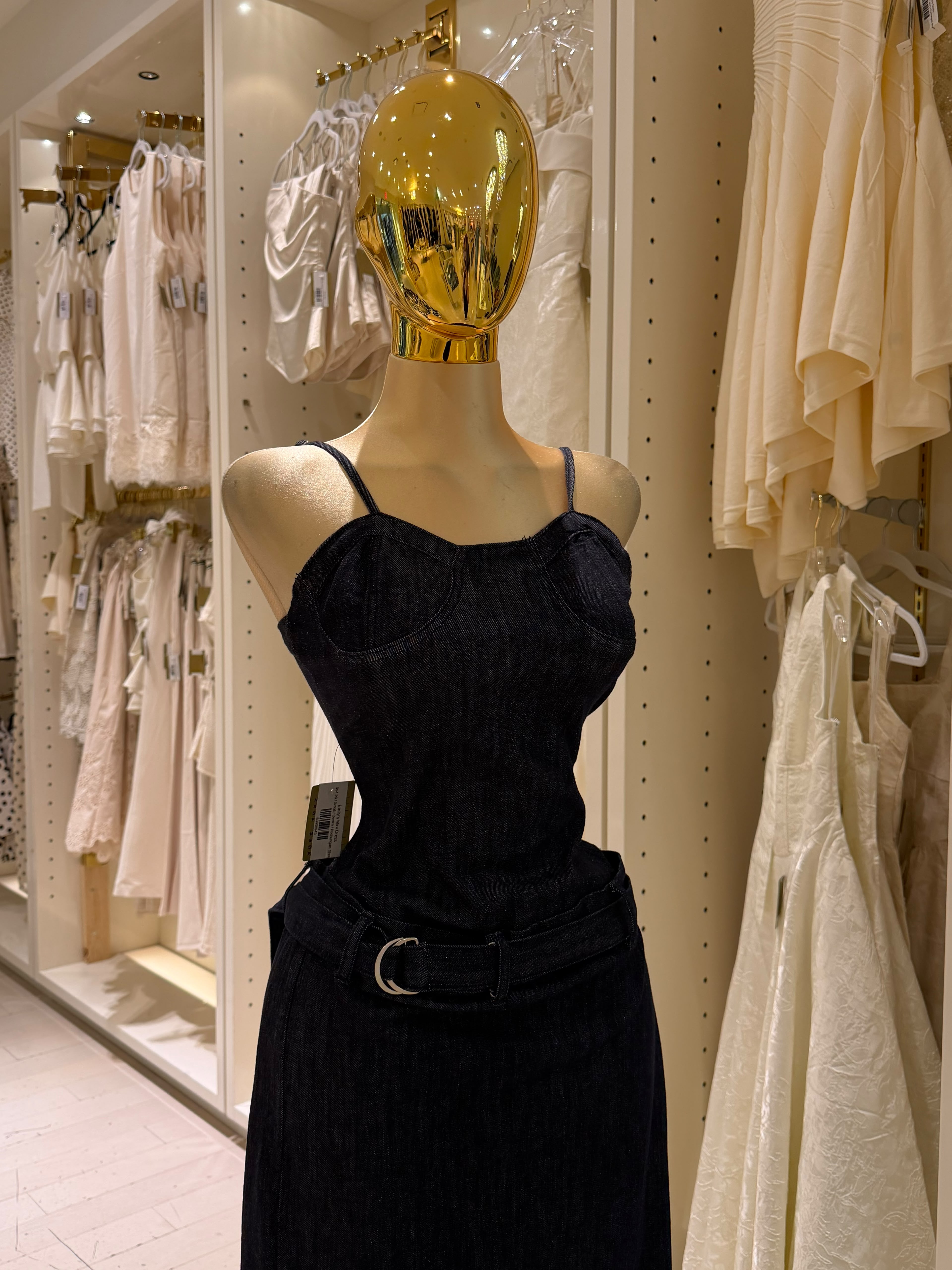 Emily's Dress