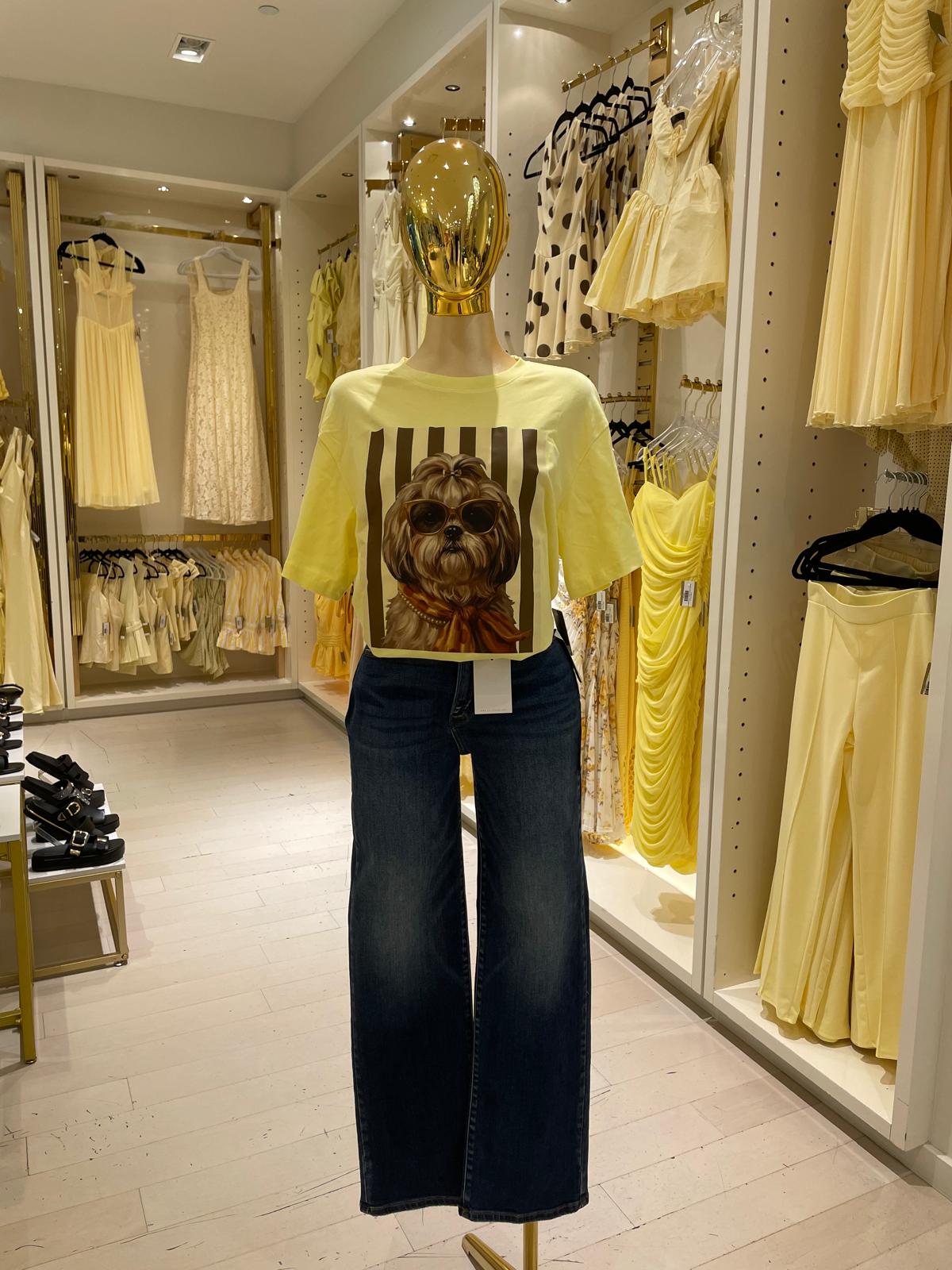 Tzu's Shirt