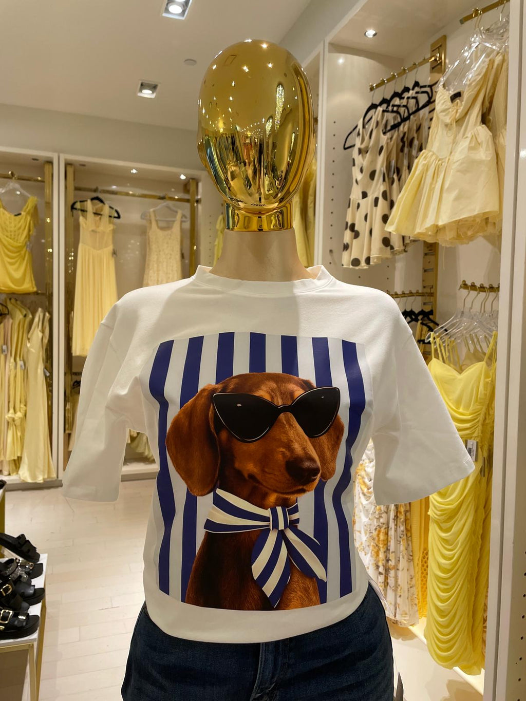 Salchi's Shirt