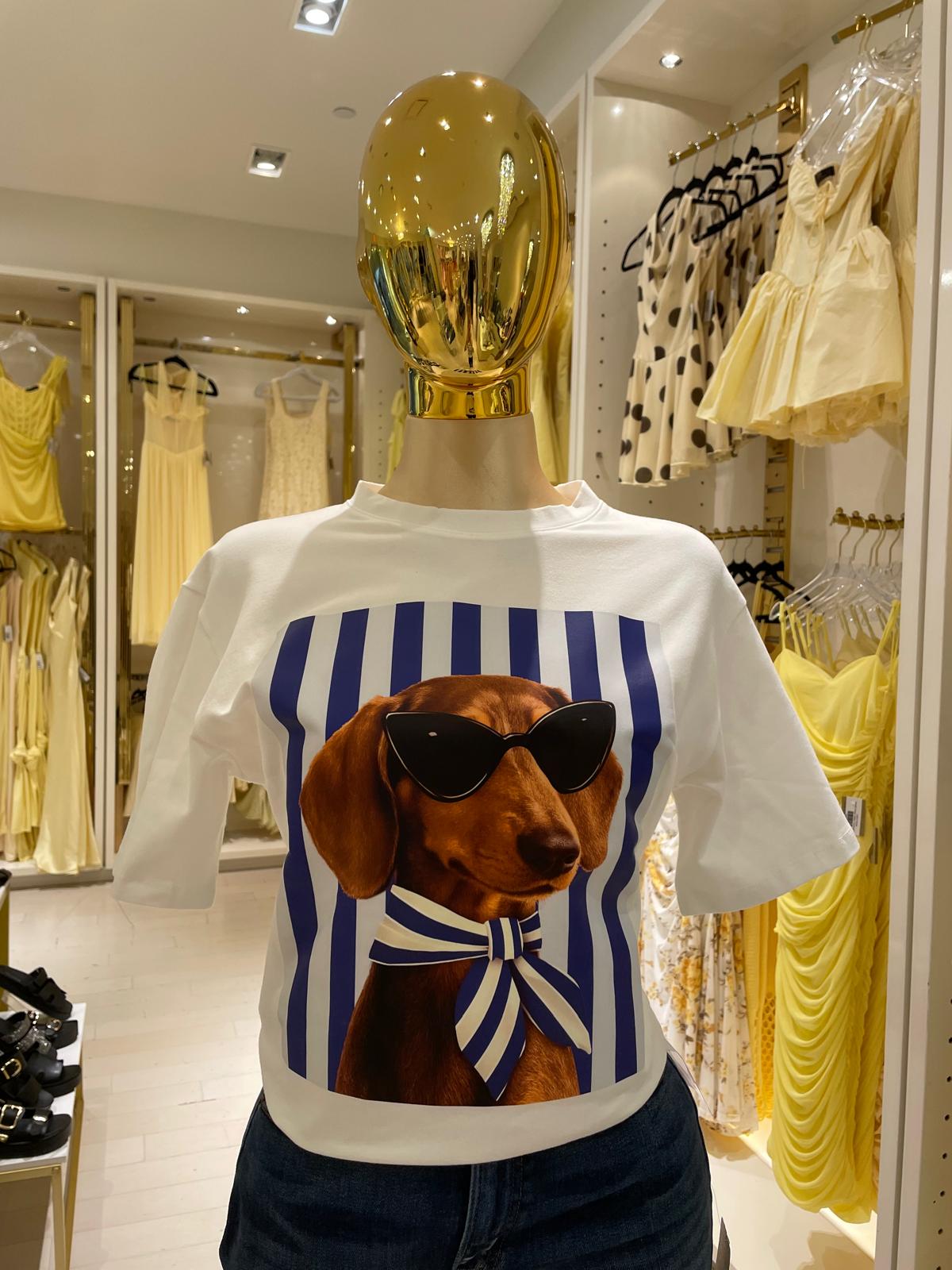 Salchi's Shirt