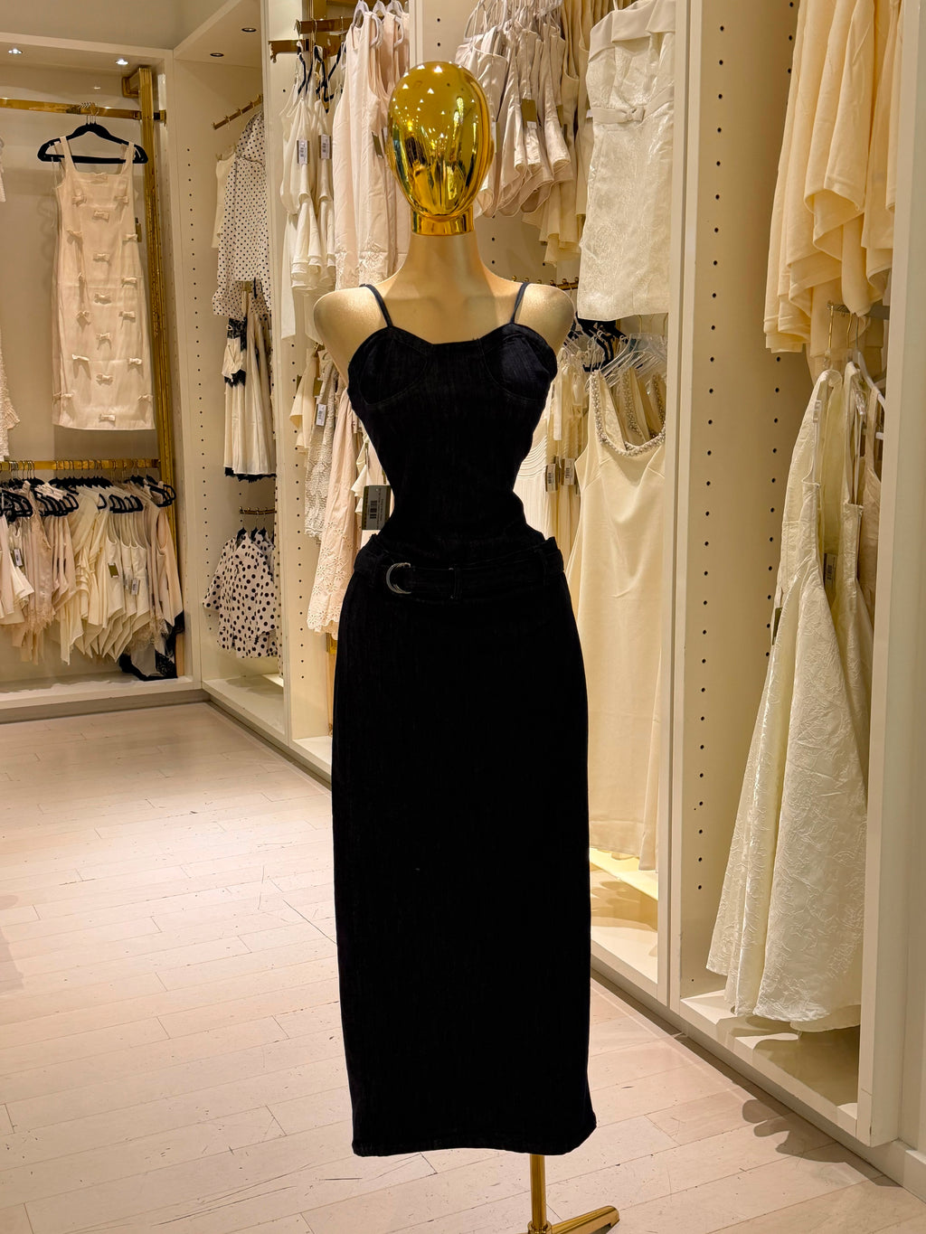 Emily's Dress