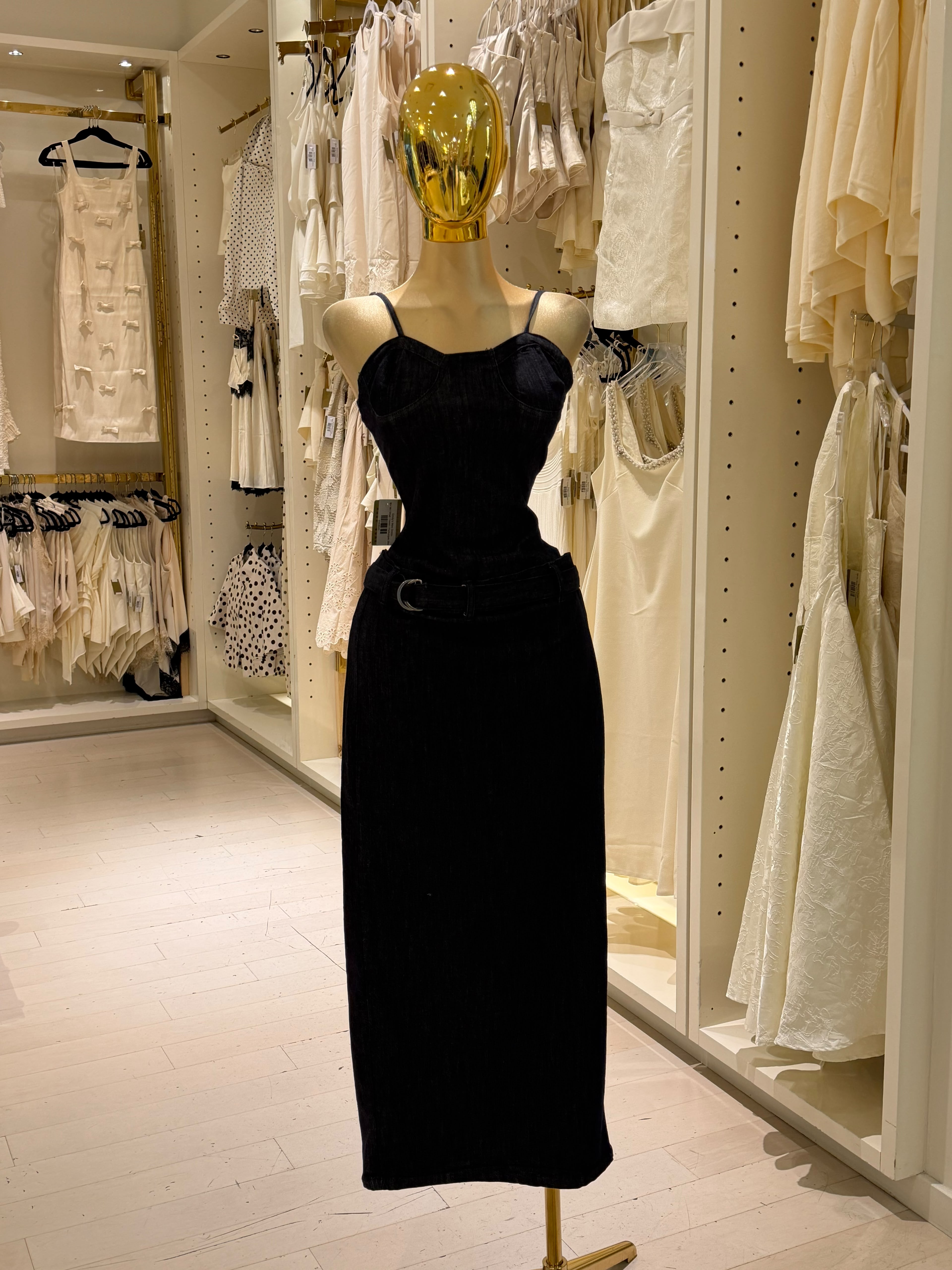 Emily's Dress