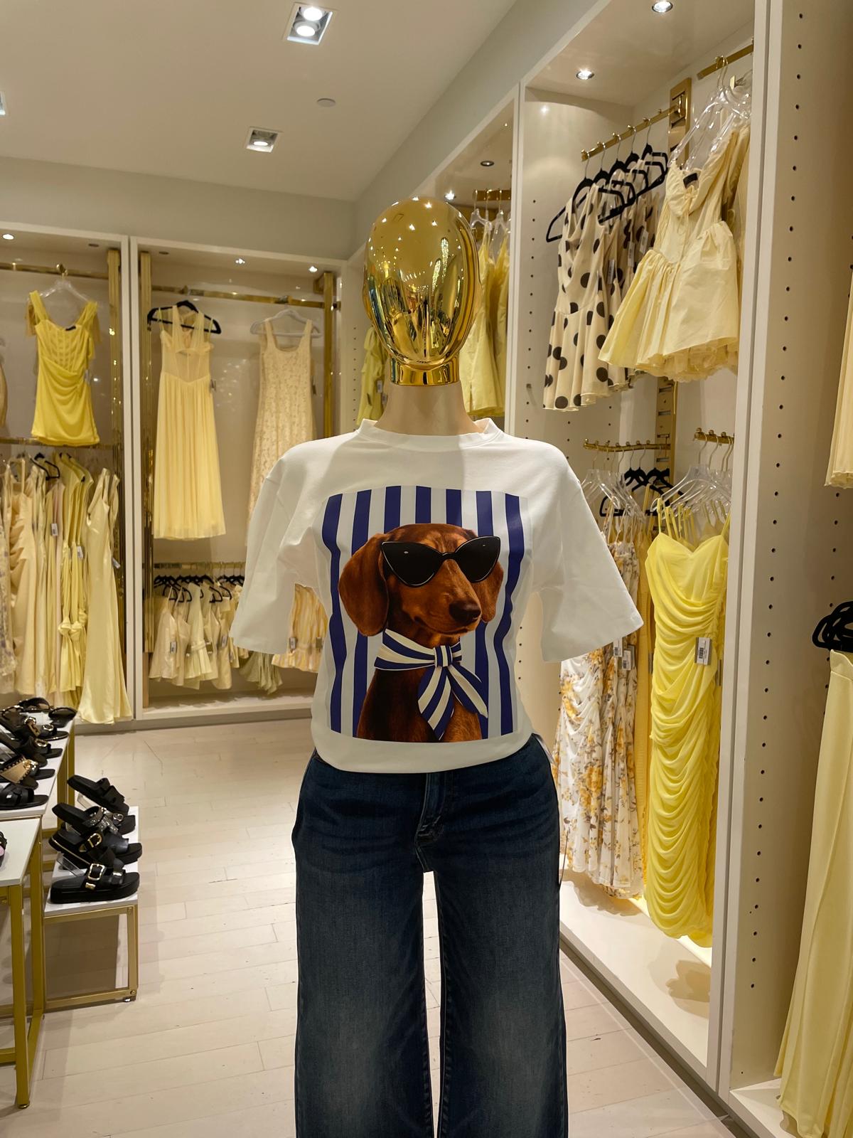 Salchi's Shirt